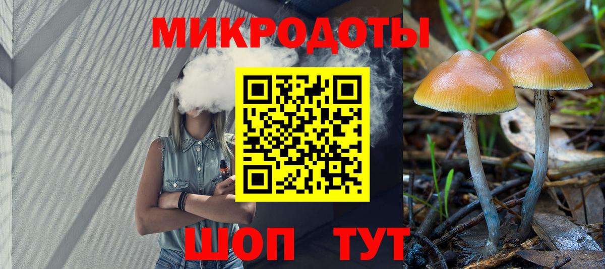 Кулебаки  купить наркотики сайты  Псилоцибиновые грибы мухоморы  Вход с VPN  Псилоцибиновые грибы Magic Shrooms 