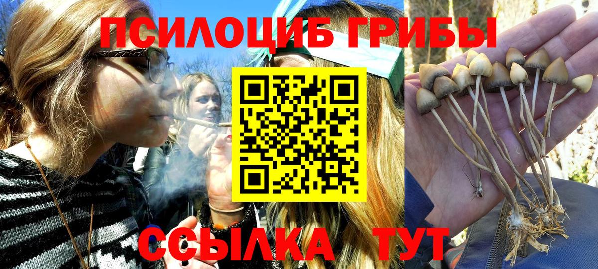 Псилоцибиновые грибы MAGIC MUSHROOMS Кулебаки